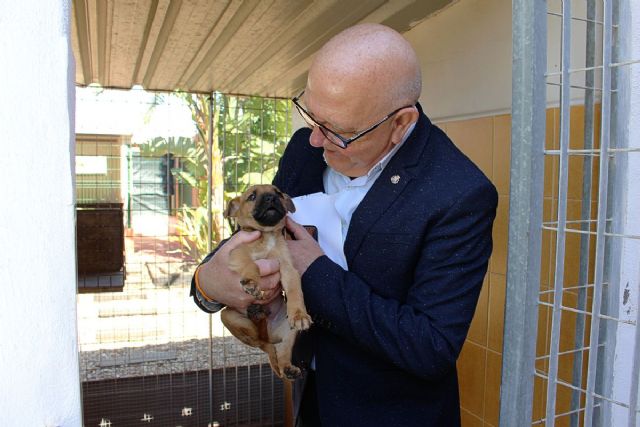 El concejal de Sanidad supervisa el estado de las instalaciones del CATAD
