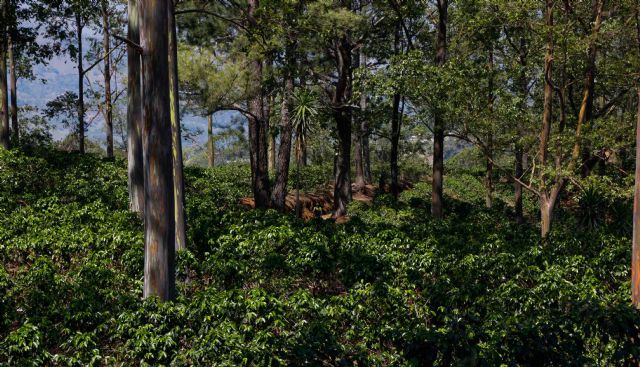 Andrés Lledó recupera fuerzas en una etapa con mejores condiciones meteorológicas