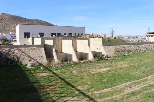 Ciudadanos pide que se revise el protocolo de actuación para controlar la aparición de plagas de mosquito en Cartagena