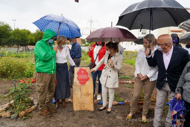 San Antón y Canteras estrenas huertos urbano y ecológico