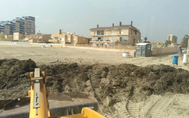 Las brigadas municipales retiran 120 toneladas de algas de las playas cartageneras durante el fin de semana