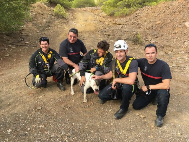 Los Bomberos rescatan a un perro en una mina de Portmán