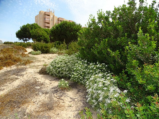 ANSE: 'Monte Blanco pone en evidencia la incompetencia del Gobierno Regional para conservar el Mar Menor'