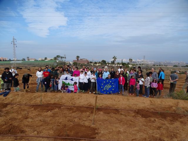 Voluntarios plantan un nuevo bosque de Ciprés de Cartagena en Calblanque