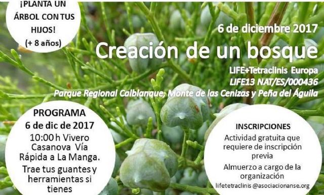 Calblanque vivira este miercoles una jornada de reforestacion