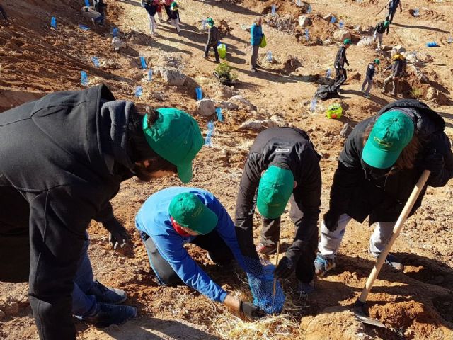 Adjudicada la limpieza de los centros escolares y la reforestacion de espacios municipales
