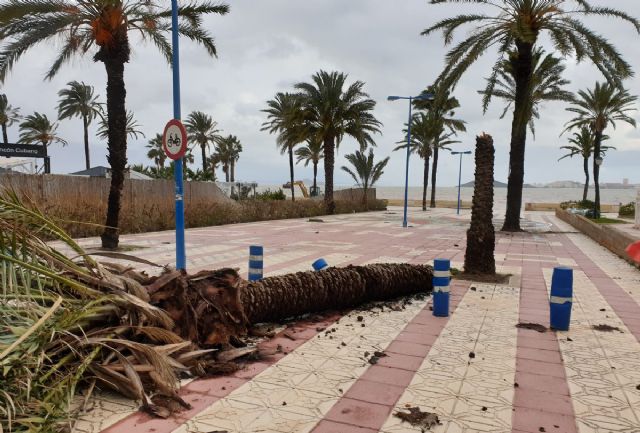 El Ayuntamiento contrata mobiliario de playa con cargo a los 125.000 euros concedidos por la CARM
