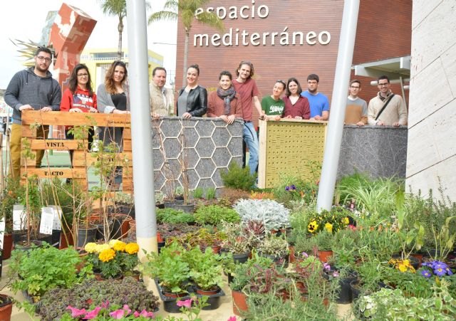 Estudiantes de la UPCT crean un jardín vertical en Espacio Mediterráneo