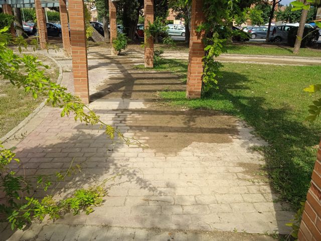 Denuncian el estado de abandono del Parque del Ensanche de Cartagena