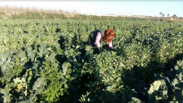 UPCT se une a ‘fields4ever’, una iniciativa global para la conservación y vigilancia de la salud del suelo