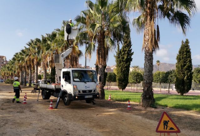 Infraestructuras aprovecha el verano para renovar alumbrado público y mejorar la eficiencia energética