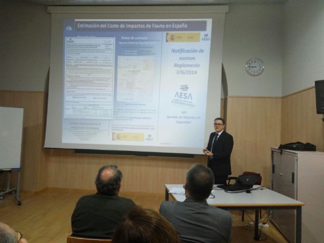 Una tesis de la UPCT indica el 'punto de hambre' que hace más eficaces a las aves rapaces de los aeropuertos