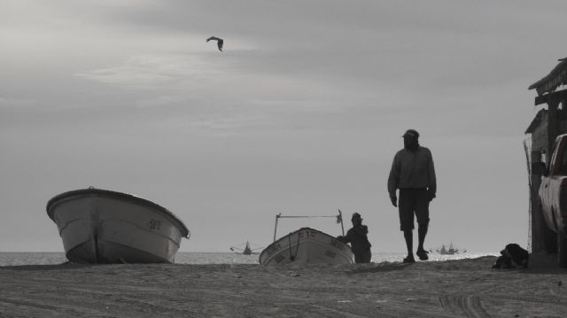 La Mar de Arte presenta Con los detectives salvajes y Liliana Maresca