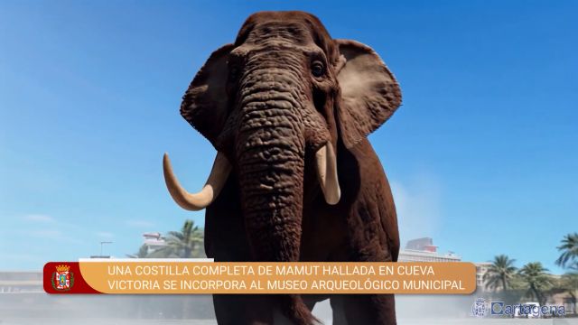 MC: Otro episodio de la incompetencia de Arroyo: nos quiere dar mamut por ballena