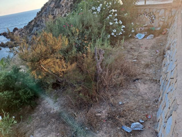 El PSOE de Cartagena denuncia la suciedad, plásticos y basuras en Cala Cortina