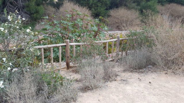 CTSSP denuncia la degradación de la zona rural de Canteras y del parque de la Rambla