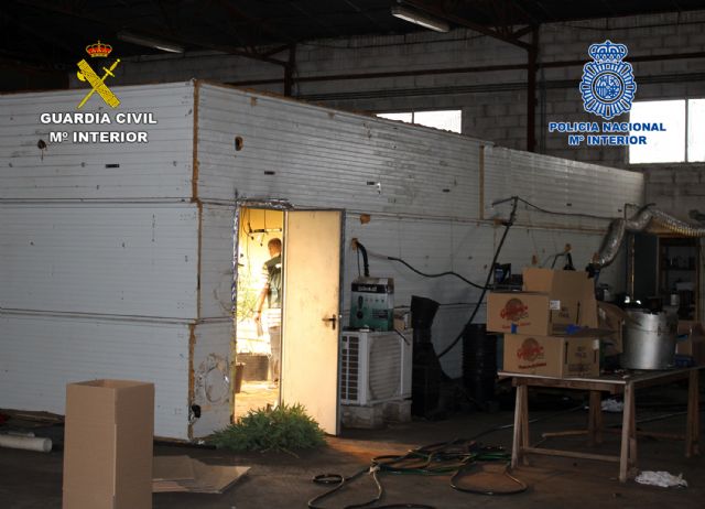 Desmantelan en Cartagena un invernadero clandestino dedicado al cultivo de marihuana