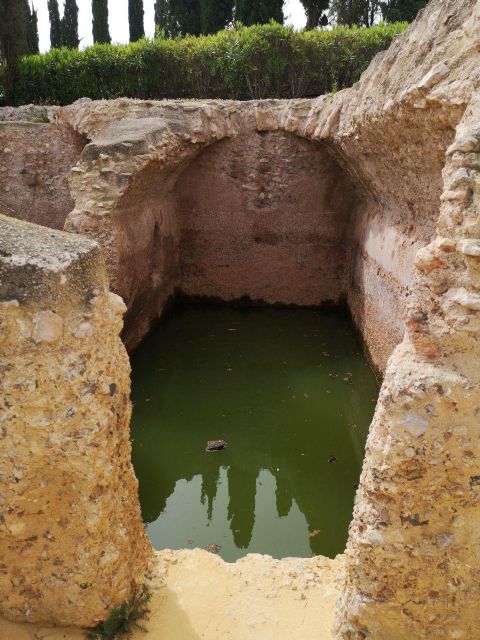 MC Cartagena exige el inmediato techado de la Catedral de Cartagena
