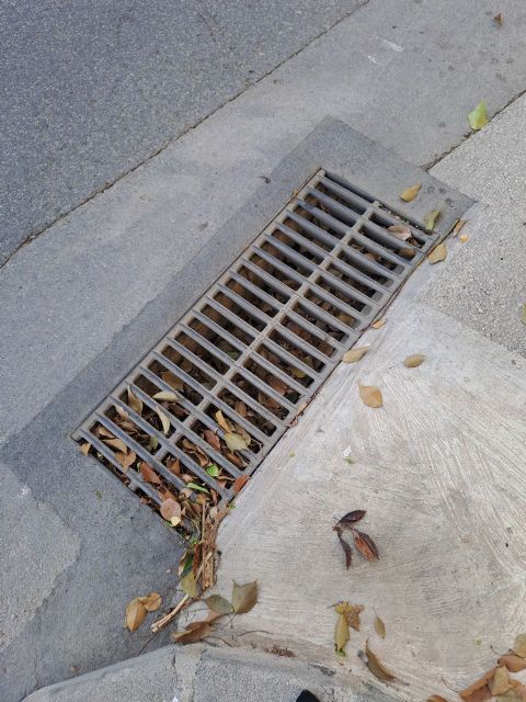 MC advierte del riesgo en Cartagena por imbornales sin limpiar y el abandono institucional