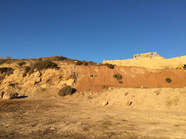 El Cerro de Los Moros se reforestara con flora autoctona el proximo 3 de diciembre