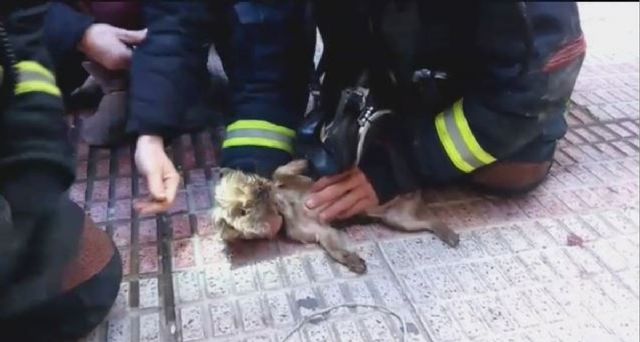 Bomberos de Cartagena extinguen un incendio en la planta baja de una vivienda de Santa Lucia