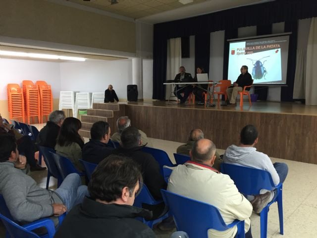 Los productores del campo de Cartagena reciben información sobre la plaga de la pulguilla de la patata