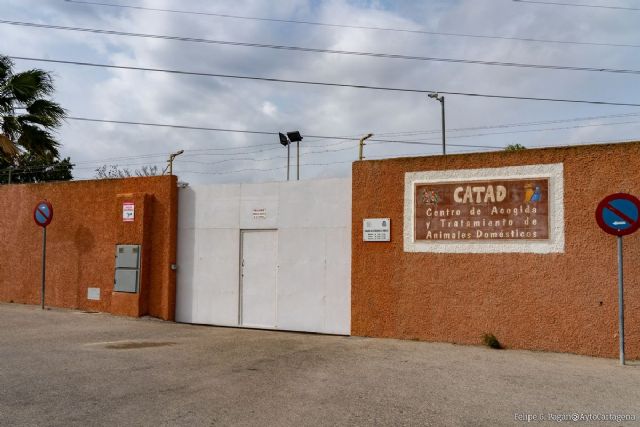 El Ayuntamiento contrata la gestión del CATAD por 614.196 euros