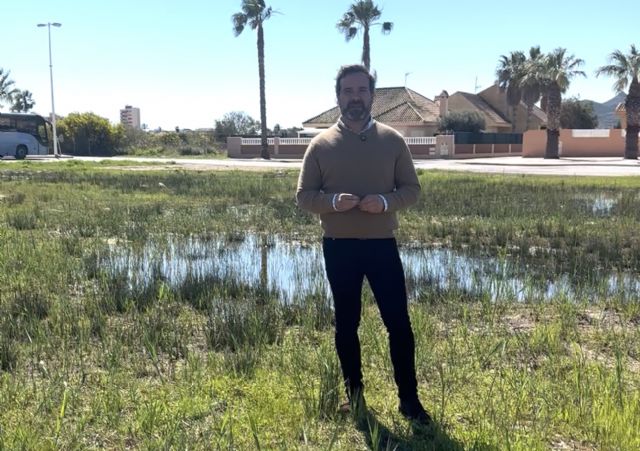 MC: Arroyo y su nuevo vicealcalde, bajo sospecha por el contrato municipal de plagas