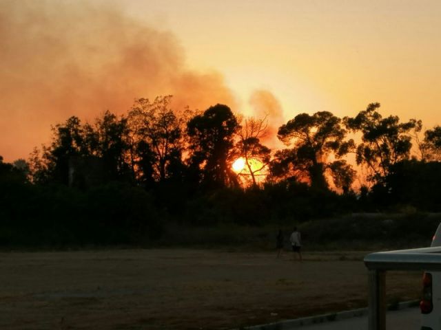 MC Cartagena llevará Villa Calamari al Pleno para exigir al Gobierno local que no sea cómplice del expolio perpetrado desde la CARM