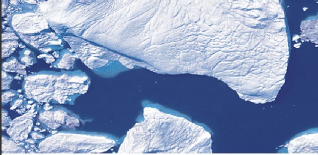 La Obra Social la Caixa y el Ayuntamiento de Cartagena presentan la exposicion El Artico se rompe