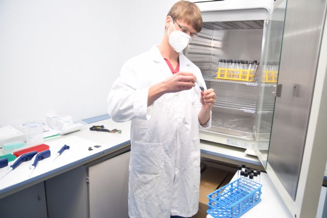 Los pesticidas en contacto con plásticos para acolchado tardan más en degradarse