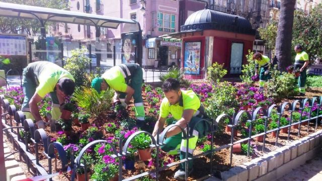 La Mesa de Contratacion analiza las 18 ofertas presentadas al contrato de conservacion de jardines