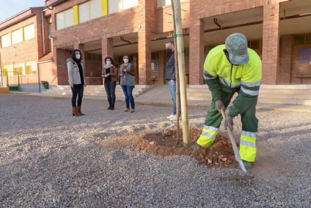 Comienza la plantación de 70 nuevos árboles en 21 centros escolares del municipio