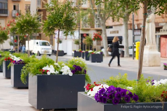 El Ayuntamiento de Cartagena engalana la ciudad con 30.000 flores para la Semana Santa