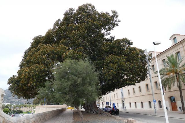 Más de 1.500 alumnos se examinarán de Selectividad en Cartagena a partir del miércoles