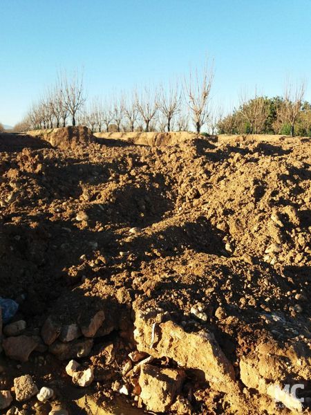 MC Cartagena solicitará que se restituya el cauce original de la Rambla de Miranda en el paraje de La Pedrera