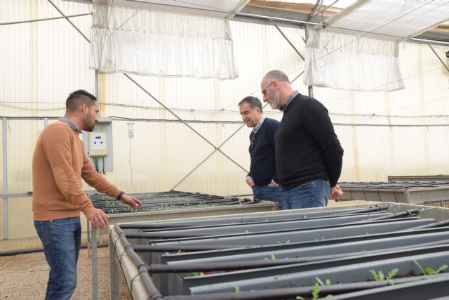 Sostenibilidad: reutilizan subproductos agrícolas, agua de riego y nutrientes en cultivos sin suelo