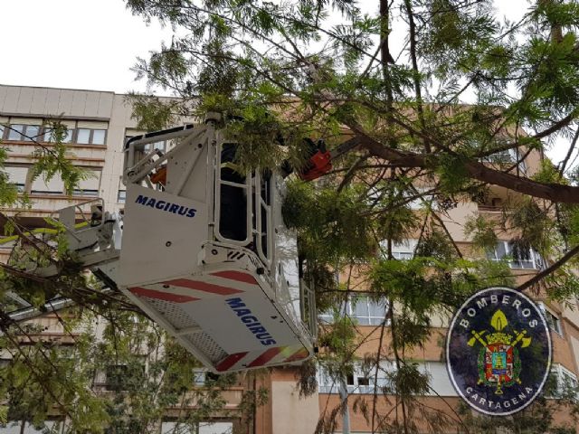 Los Bomberos de Cartagena realizan 12 intervenciones por el fuerte viento