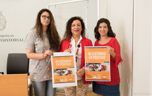 El personal de las protectoras de animales y particulares aprenderán sobre ´rescate en positivo´