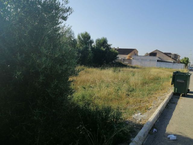 MC: La desidia del Gobierno en mantenimiento inunda de suciedad y maleza la diputación de La Palma