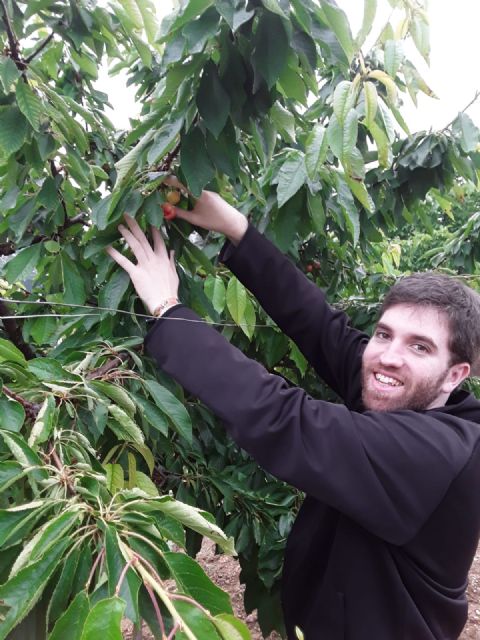 La Universidad de Lleida distingue una tesis de la UPCT sobre automatización de riego en cerezos