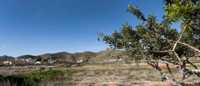 Agricultura logra fondos para arreglar cuatro nuevos caminos rurales