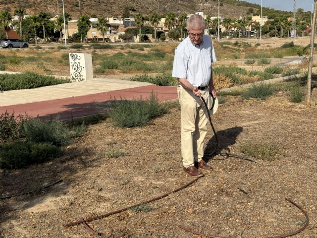 'MC fuerza al Gobierno local a poner en marcha un plan de choque contra el peligro por estrés hídrico en las zonas verdes'