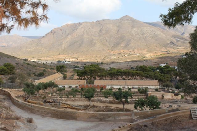 Cs pide la creación de una oficina municipal del emprendedor para combatir 'una burocracia que desangra a Cartagena'