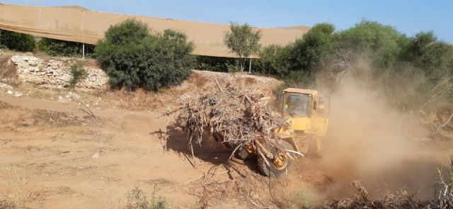 La Confederación Hidrográfica del Segura ha iniciado en agosto las labores de mantenimiento y conservación en los cauces del municipio de Cartagena