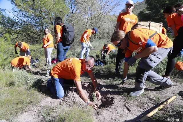 Más de 60 voluntarios del Cartagena Jazz Festival y Soltec han colaborado con Anse en la reforestación del Monte Roldán