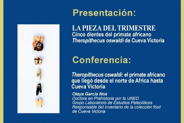 Cinco dientes de un primate africano hallados en Cueva Victoria, Pieza del Trimestre en el Museo Arqueológico
