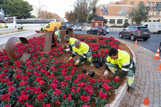 Cerca de 6.000 flores rojas dan color navideño a Cartagena