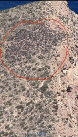 Servicios de emergencia apagan conato de incendio forestal en Cala Cerrada término municipal de Cartagena