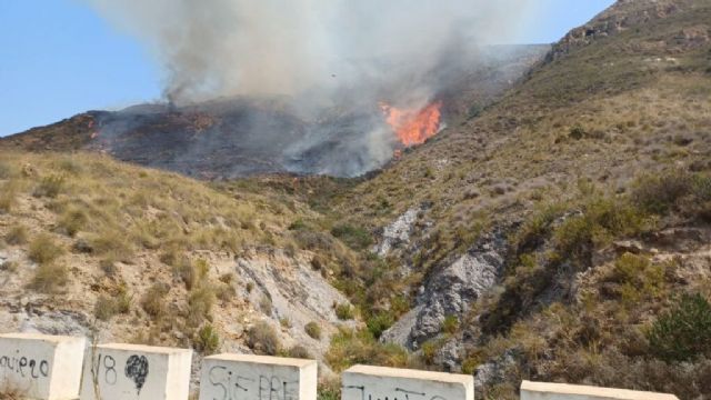 Servicios de emergencias intervienen en un incendio forestal en Cartagena